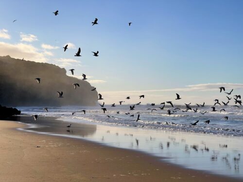 Λάγος, Αλγκάρβε 2026: Ο απόλυτος οδηγός σας στην Πορτογαλία's Crown Jewel 1 Algarve 2026 - ένα πρωινό στην παραλία